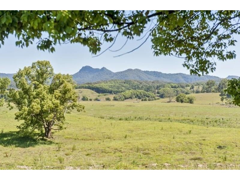 6 Blackwoods Road, Nobbys Creek, Murwillumbah NSW 2484