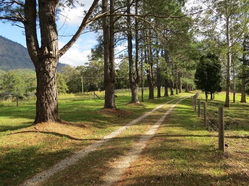 213 Mount Burrell Road, Mount Burrell NSW 2484