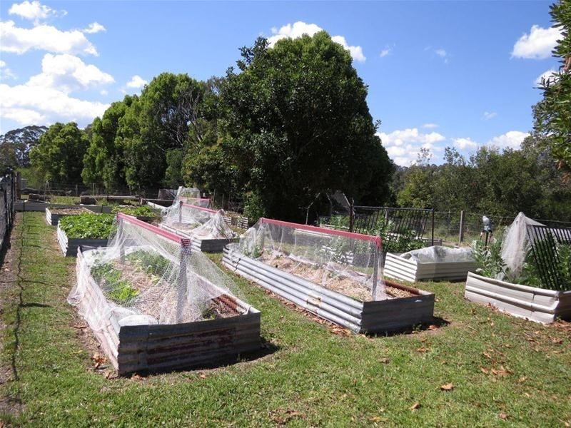 213 Mount Burrell Road, Mount Burrell NSW 2484