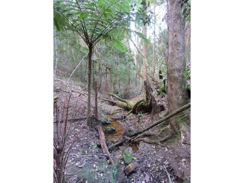 213 Mount Burrell Road, Mount Burrell NSW 2484