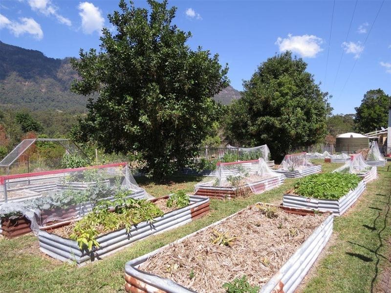 213 Mount Burrell Road, Mount Burrell NSW 2484