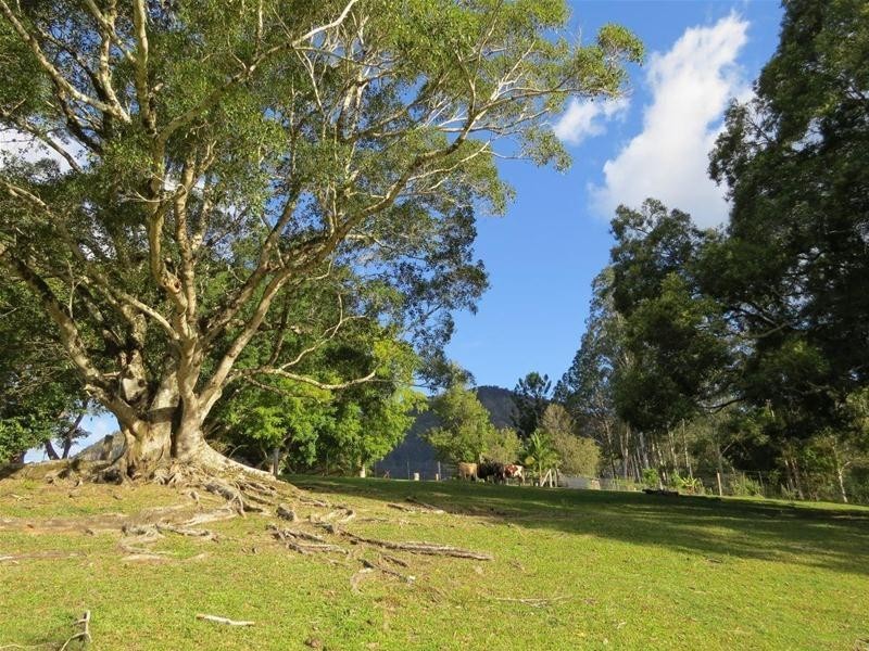 213 Mount Burrell Road, Mount Burrell NSW 2484