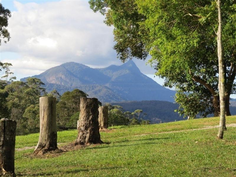 213 Mount Burrell Road, Mount Burrell NSW 2484