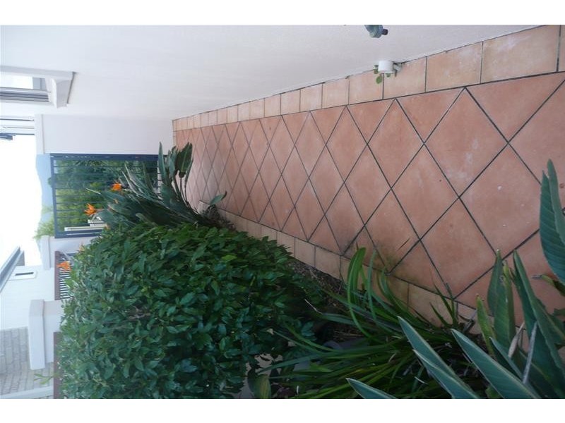 Murwillumbah NSW 2484