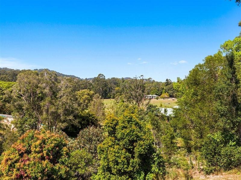 254 Clothiers Creek Road, Nunderi NSW 2484