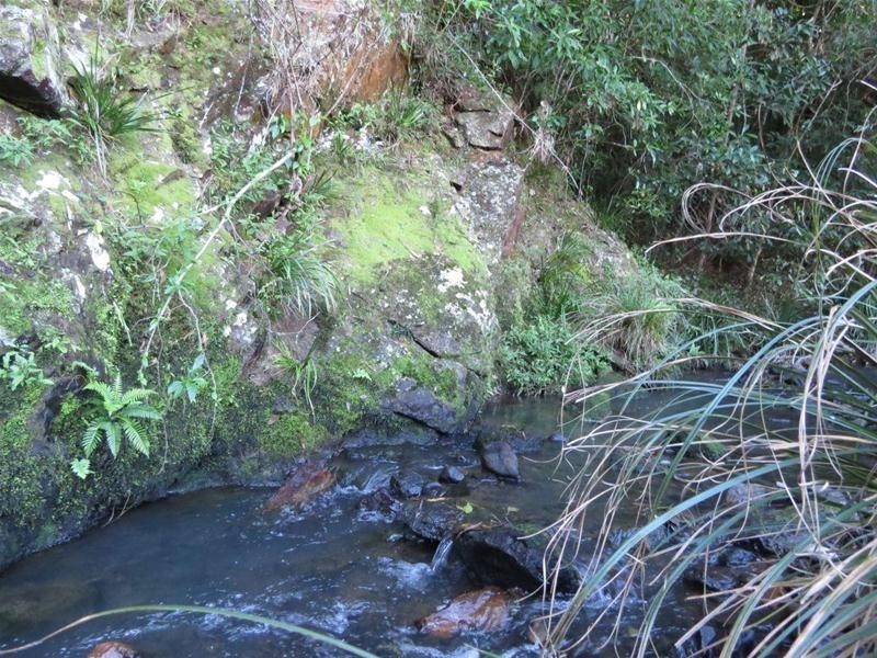 498 Rowlands Creek Road, Uki NSW 2484