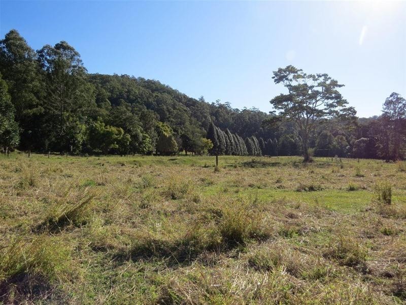 498 Rowlands Creek Road, Uki NSW 2484