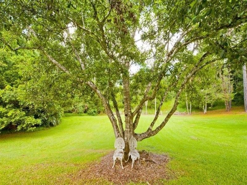 332 Zara Road, Chillingham NSW 2484