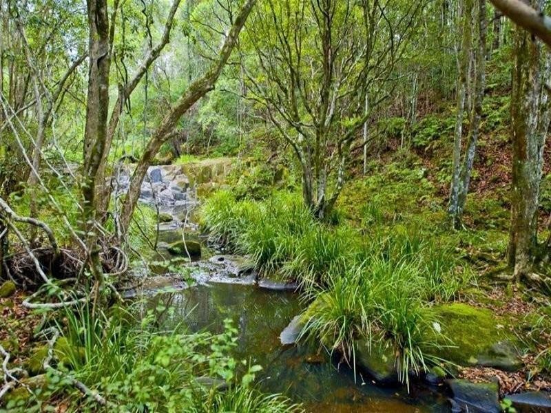 332 Zara Road, Chillingham NSW 2484