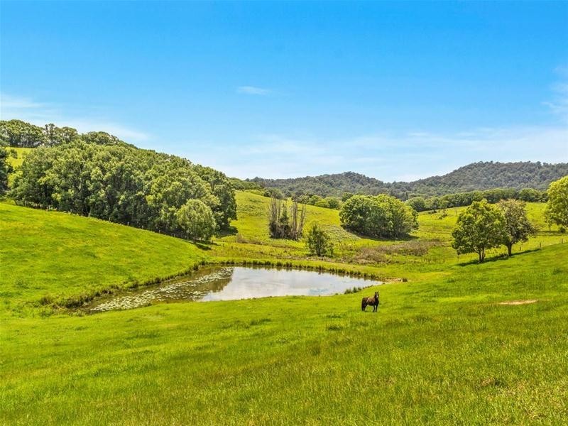 48 Booyong Place, Nobbys Creek NSW 2484