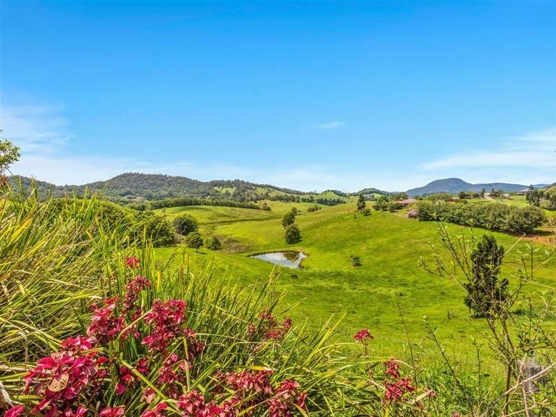 48 Booyong Place, Nobbys Creek NSW 2484