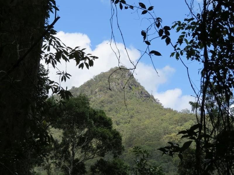 Lot 2 261 Mount Warning Road, Mount Warning NSW 2484