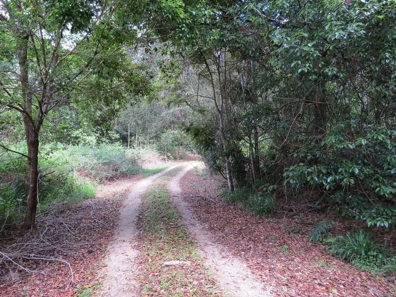 Lot 2 261 Mount Warning Road, Mount Warning NSW 2484