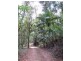 Lot 2 261 Mount Warning Road, Mount Warning NSW 2484