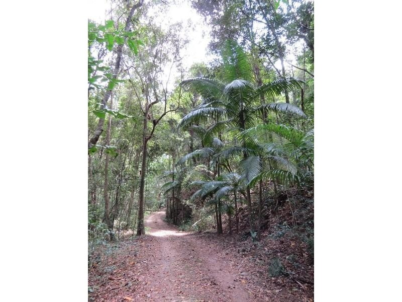 Lot 2 261 Mount Warning Road, Mount Warning NSW 2484