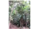 Lot 2 261 Mount Warning Road, Mount Warning NSW 2484