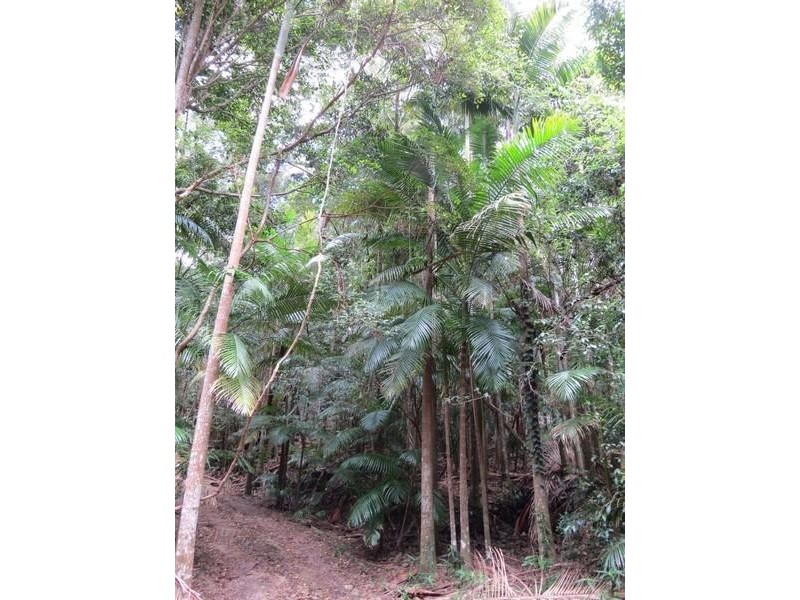 Lot 2 261 Mount Warning Road, Mount Warning NSW 2484