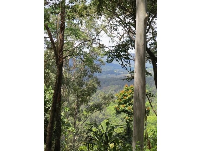 Lot 2 261 Mount Warning Road, Mount Warning NSW 2484