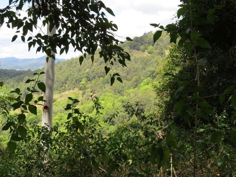 Lot 2 261 Mount Warning Road, Mount Warning NSW 2484