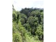 Lot 2 261 Mount Warning Road, Mount Warning NSW 2484