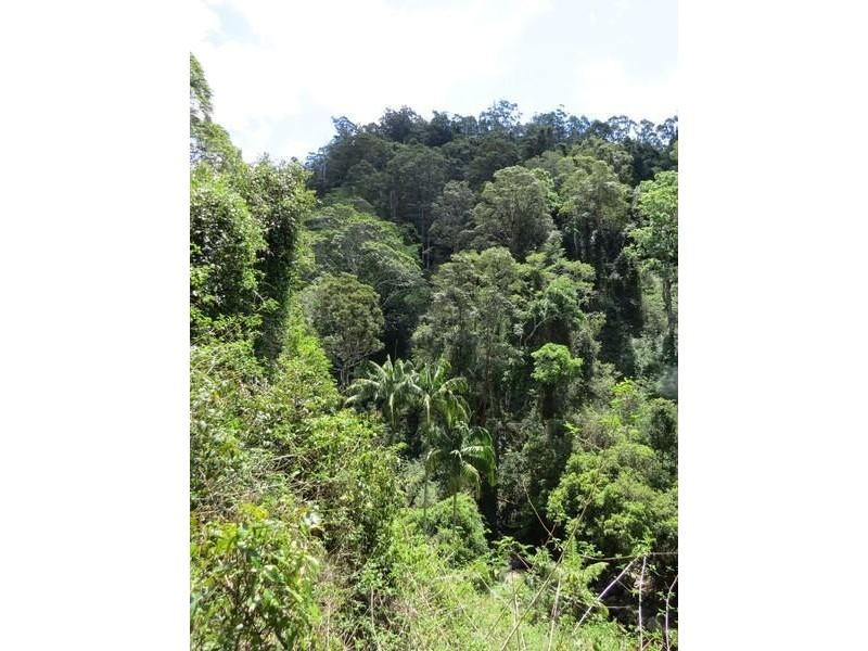 Lot 2 261 Mount Warning Road, Mount Warning NSW 2484