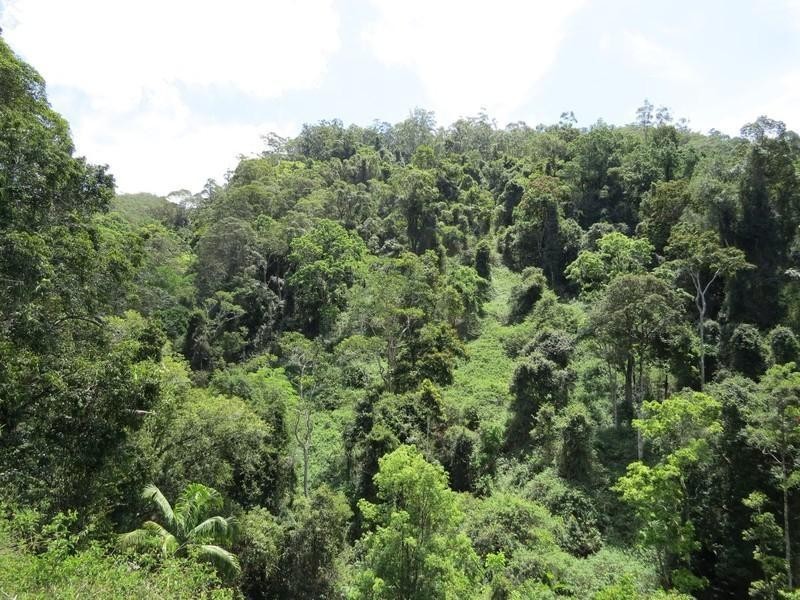 Lot 2 261 Mount Warning Road, Mount Warning NSW 2484