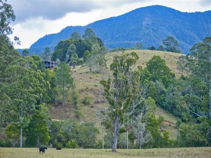 6 Caddell Road, Mount Burrell NSW 2484