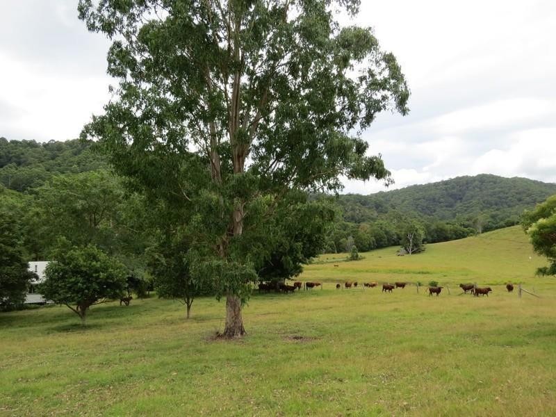 56 Chowan Creek Road, Uki NSW 2484