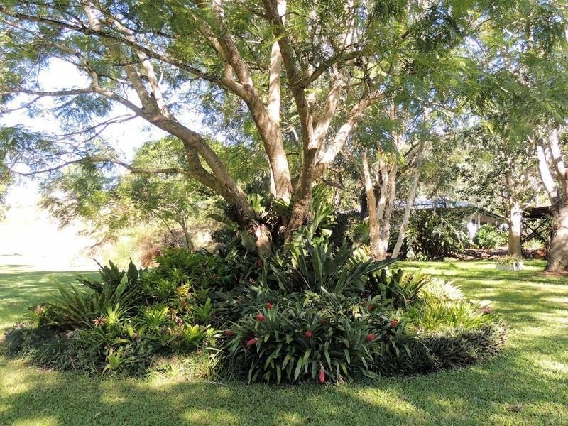 56 Chowan Creek Road, Uki NSW 2484