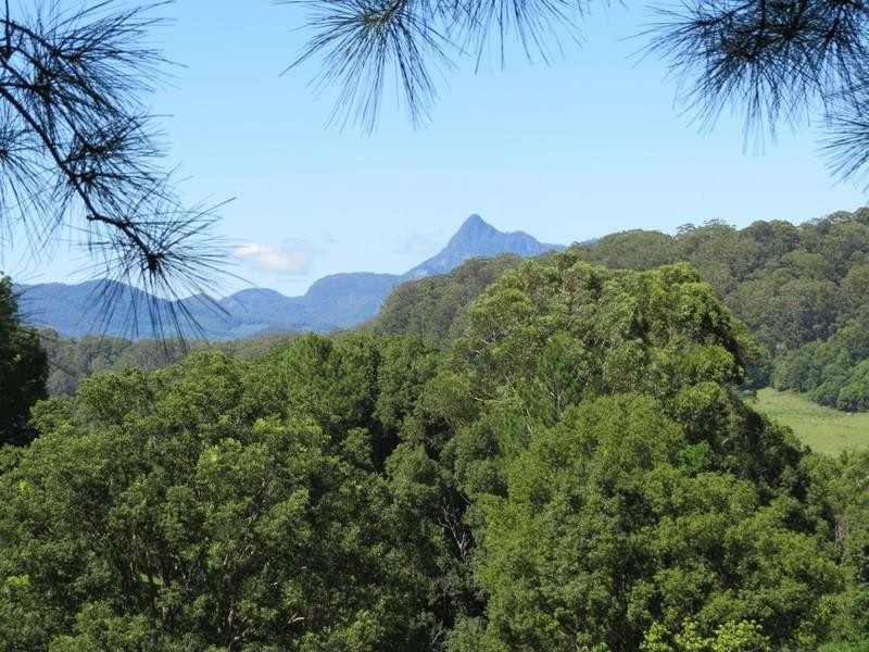 649 Tomewin Road, Tomewin NSW 2484