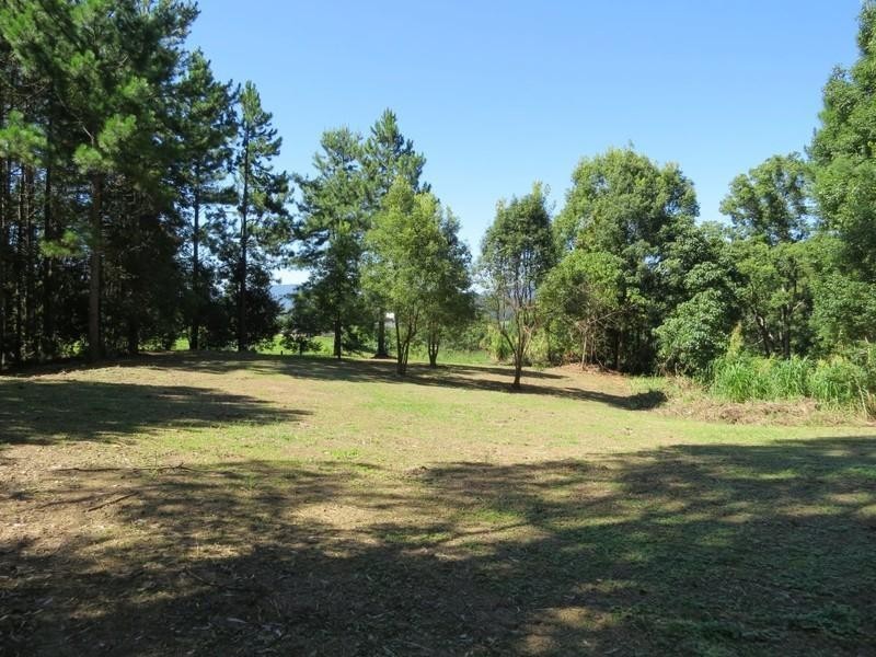 649 Tomewin Road, Tomewin NSW 2484