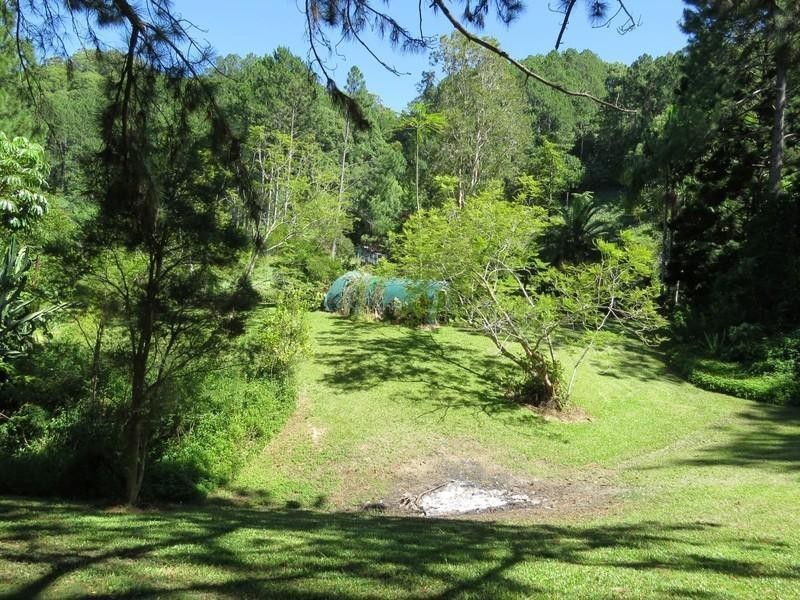 649 Tomewin Road, Tomewin NSW 2484