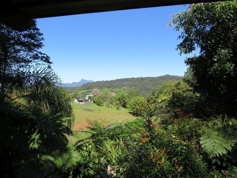 649 Tomewin Road, Tomewin NSW 2484