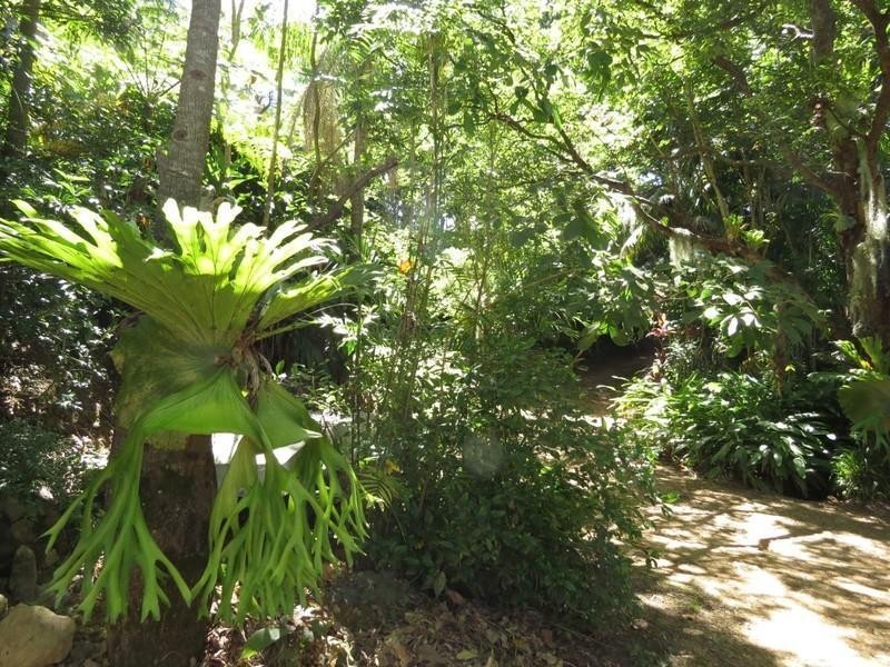 649 Tomewin Road, Tomewin NSW 2484