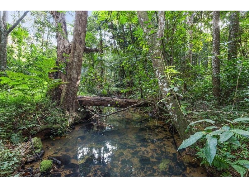 26 Chevell Place, Uki NSW 2484