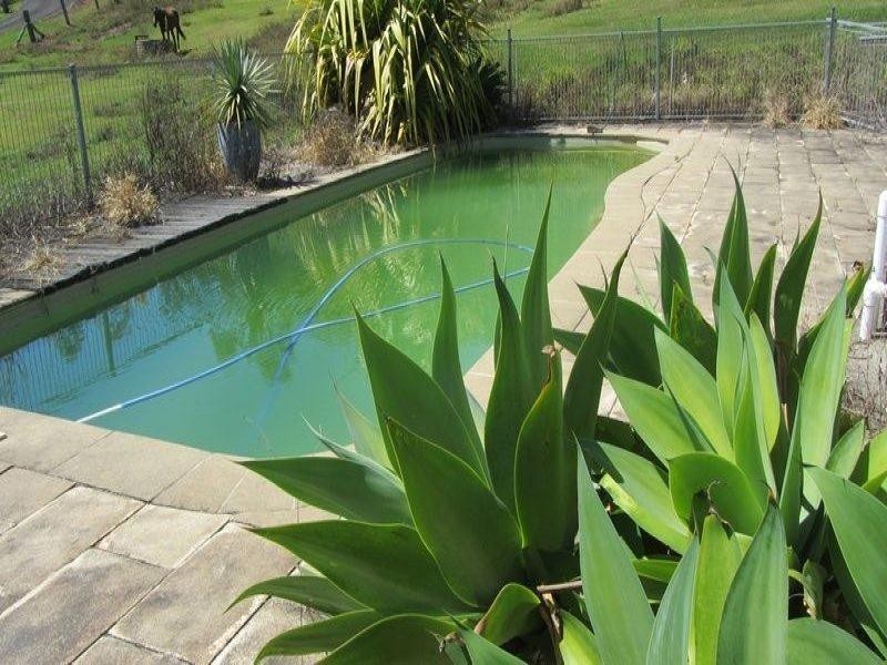 6 Blackwoods Road, Nobbys Creek NSW 2484