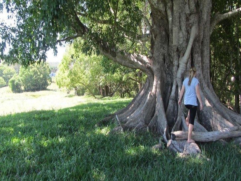 6 Blackwoods Road, Nobbys Creek NSW 2484