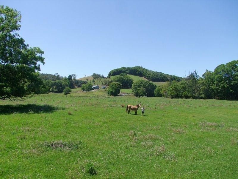 6 Blackwoods Road, Nobbys Creek NSW 2484