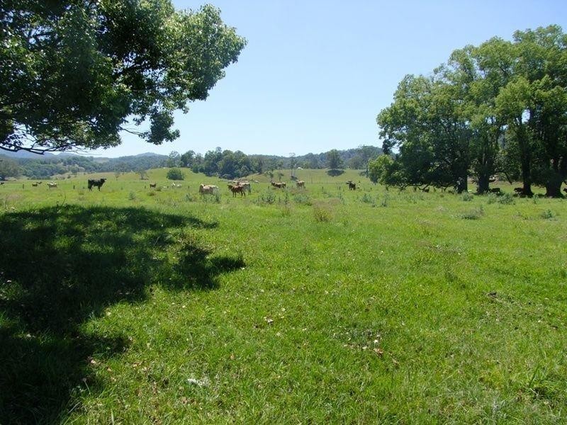 6 Blackwoods Road, Nobbys Creek NSW 2484