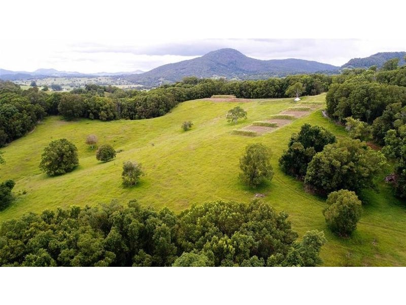 222 Tyalgum Road, Eungella NSW 2484