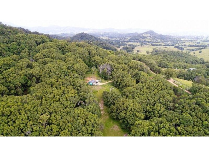 222 Tyalgum Road, Eungella NSW 2484