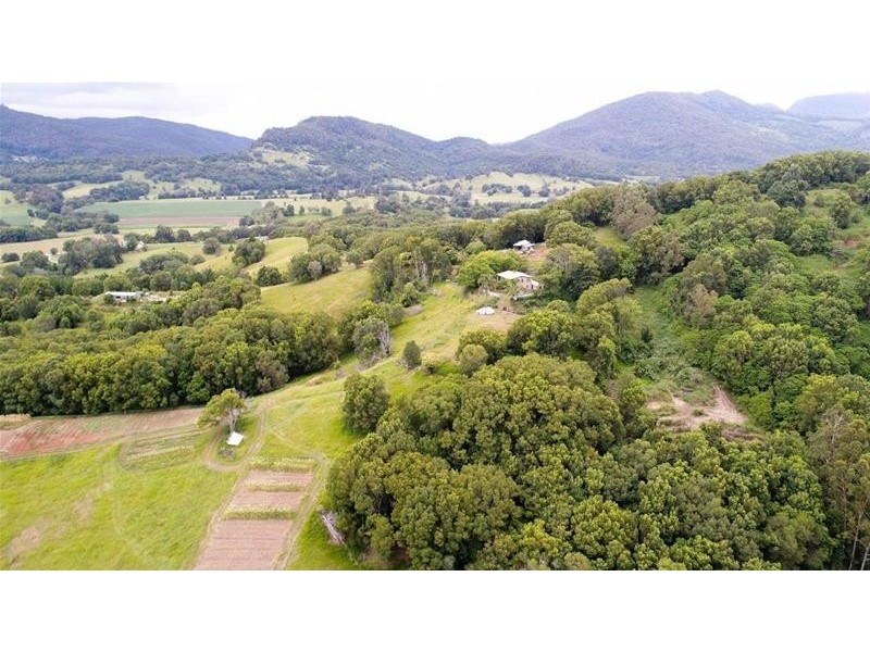 222 Tyalgum Road, Eungella NSW 2484