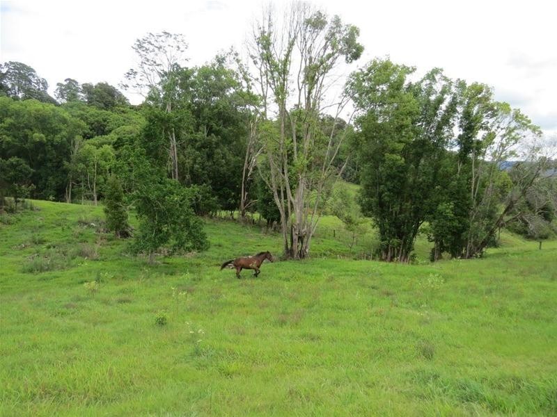 222 Tyalgum Road, Eungella NSW 2484