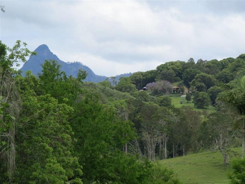 222 Tyalgum Road, Eungella NSW 2484