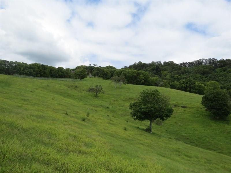 222 Tyalgum Road, Eungella NSW 2484