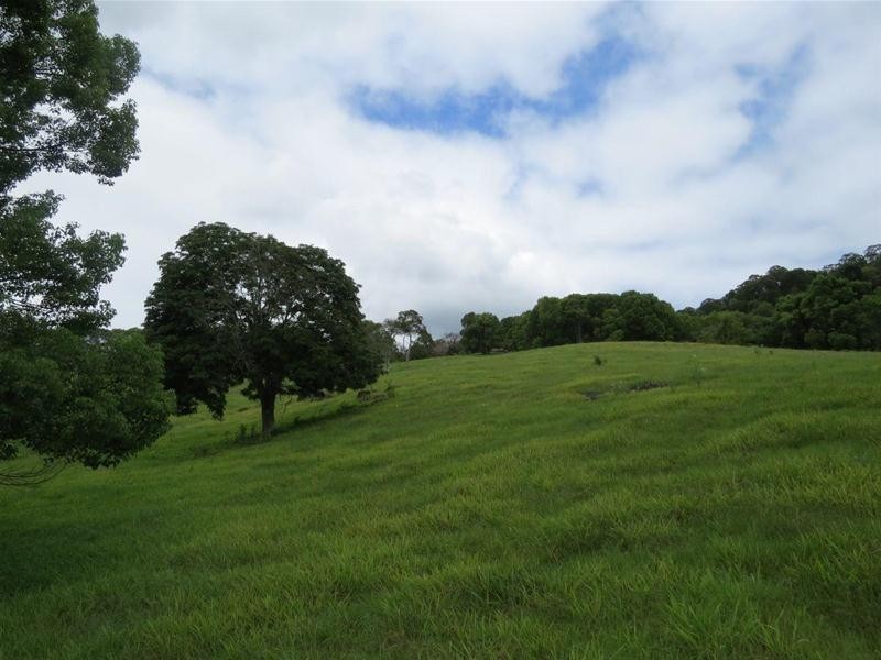 222 Tyalgum Road, Eungella NSW 2484