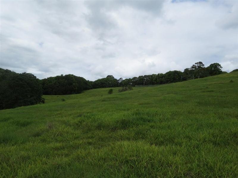 222 Tyalgum Road, Eungella NSW 2484