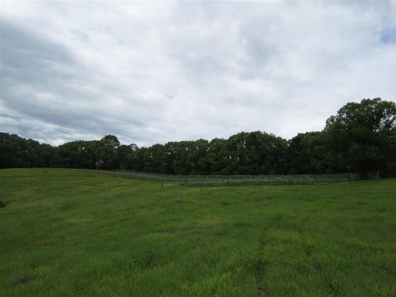 222 Tyalgum Road, Eungella NSW 2484