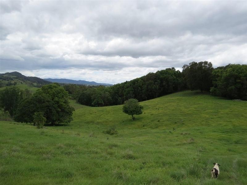 222 Tyalgum Road, Eungella NSW 2484