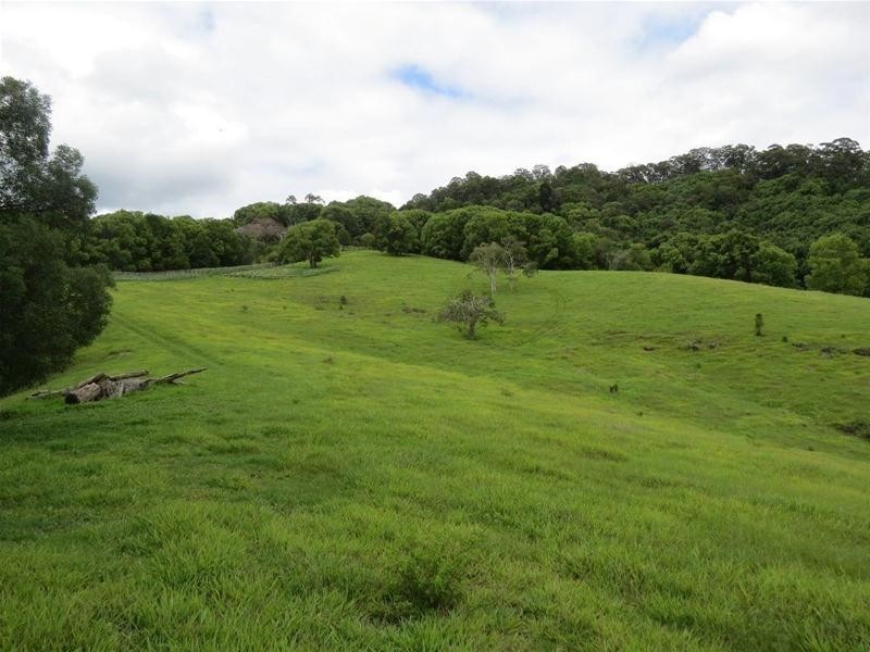 222 Tyalgum Road, Eungella NSW 2484